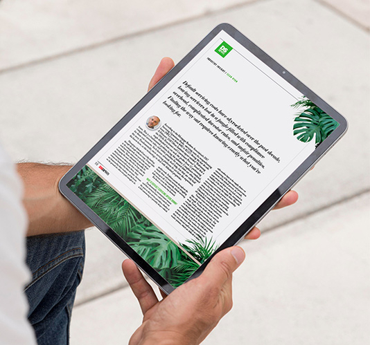 Aspen Grove Insights | Slashing Through The Servicing Jungle